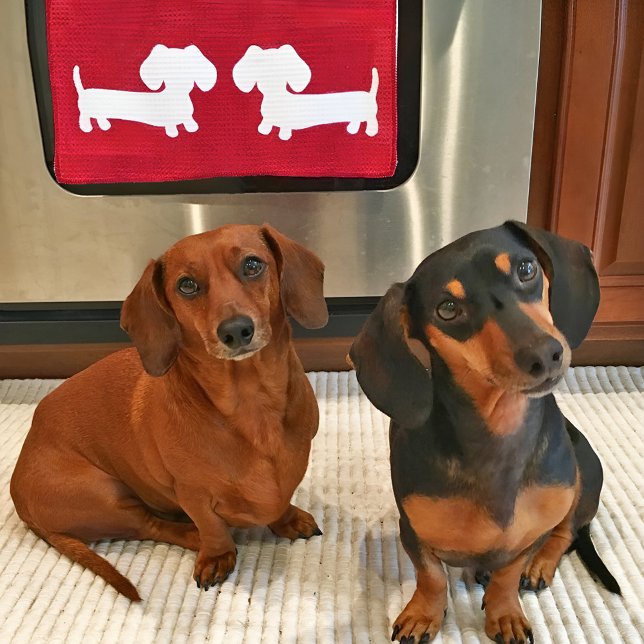 Dachshund Red Dish Towel for Wiener Hundälskares Kökshandduk (Dachshund kitchen gifts and goods for wiener dog lovers)