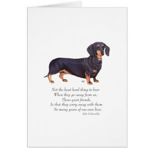 Dachshund Regnbågsbron Hälsningskort