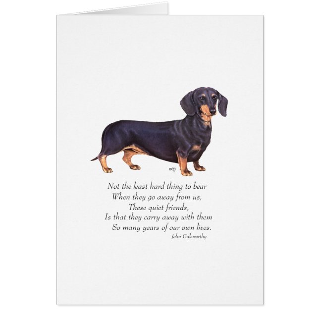 Dachshund Regnbågsbron Hälsningskort (Framsidan)