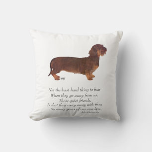 Dachshund Regnbågsbron Kudde