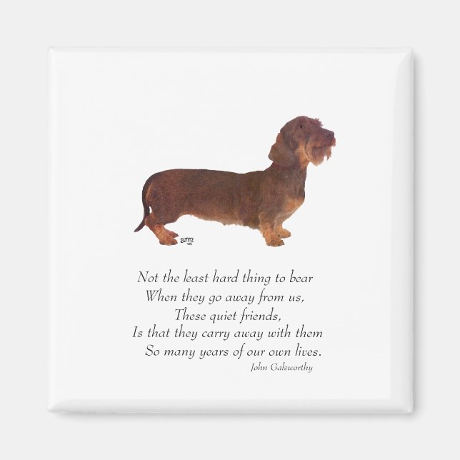 Dachshund Regnbågsbron Magnet (Framsidan)