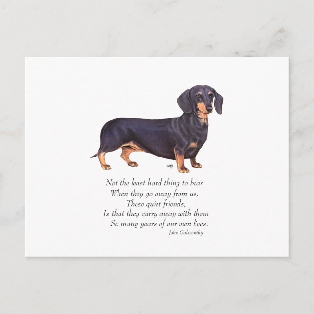 Dachshund Regnbågsbron Vykort (Framsida)