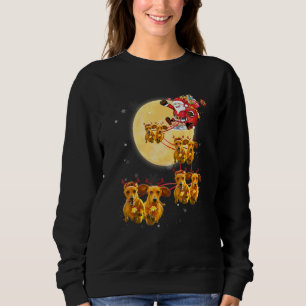 Dachshund Reindeer Santa Sleigh-jul, Hund T Shirt