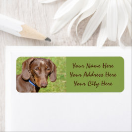 Dachshund Returadress Etikett