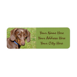 Dachshund Returadress Etikett