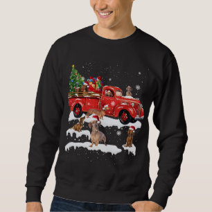 Dachshund Riding Red Lastbil God jul X-mas U Lång Ärmad Tröja