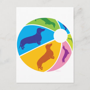 Dachshund Rolig Beachball Vykort
