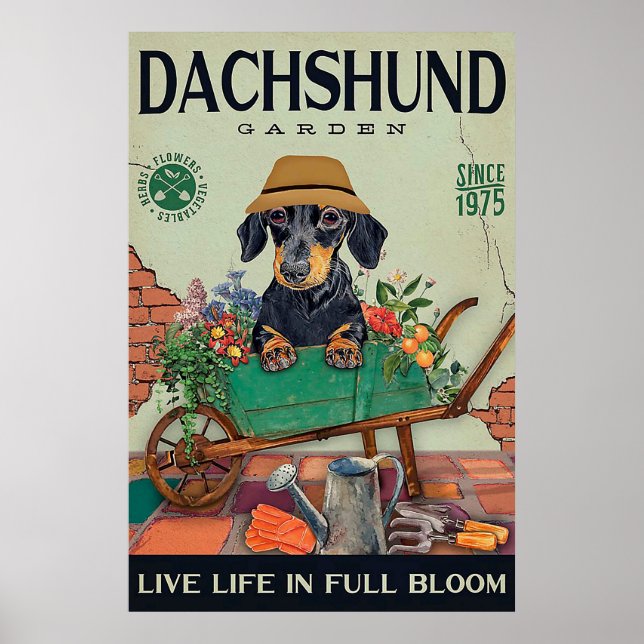 Dachshund  roliga citattecken poster (Framsidan)