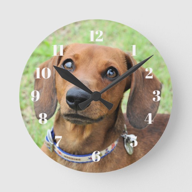 Dachshund Rund Klocka (Framsida)