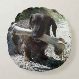 Dachshund Rund Kudde