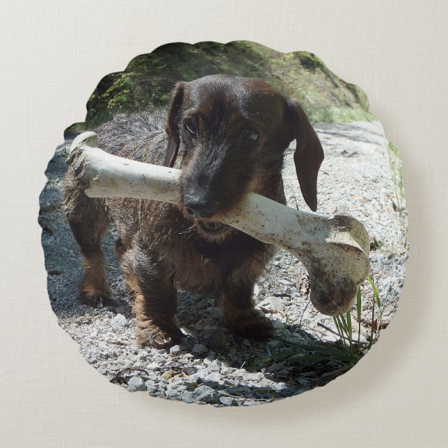 Dachshund Rund Kudde (Framsidan)