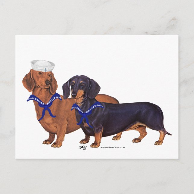 Dachshund Sailors Vykort (Framsida)