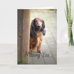 Dachshund saknar gratulationskort kort