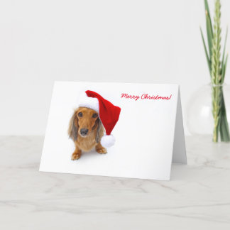 dachshund Santa Helgkort