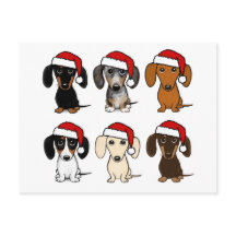 Dachshund Santas julpet Hund Helgdag Anpassningsba