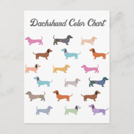 Dachshund Sause Hund Färg Chart Funny Vykort