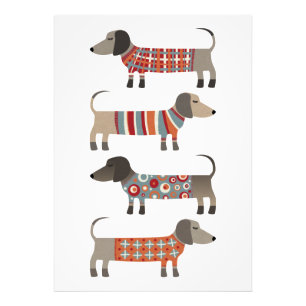 Dachshund Sause Hund Fototryck