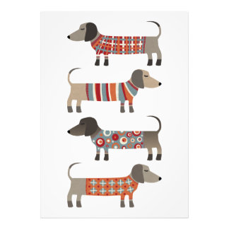 Dachshund Sause Hund Fototryck