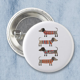 Dachshund Sause Hund Knapp
