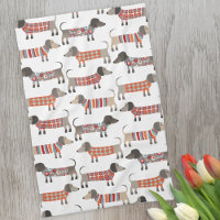 Dachshund Sause Hund