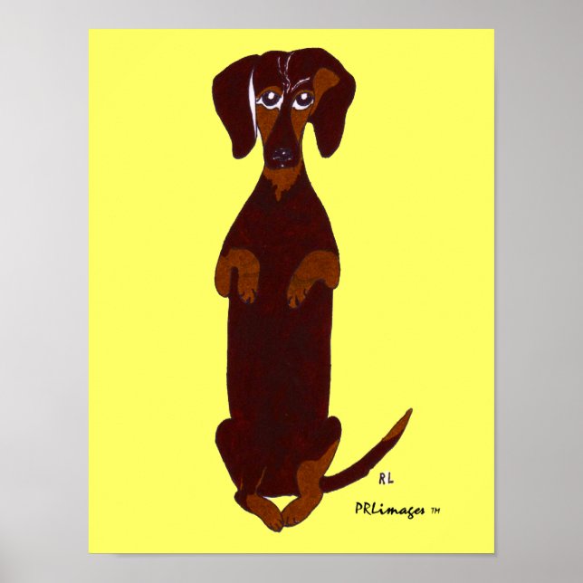Dachshund Sidney Print Poster (Framsidan)