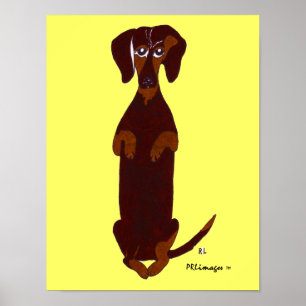 Dachshund Sidney Skriv ut Poster