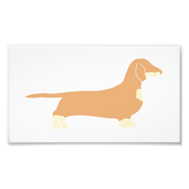 Dachshund silo fawn och kräm fototryck (Framsidan)