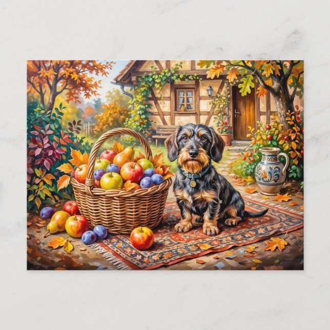Dachshund sittande bredvid fruktkorg höstgård vykort (Framsida)