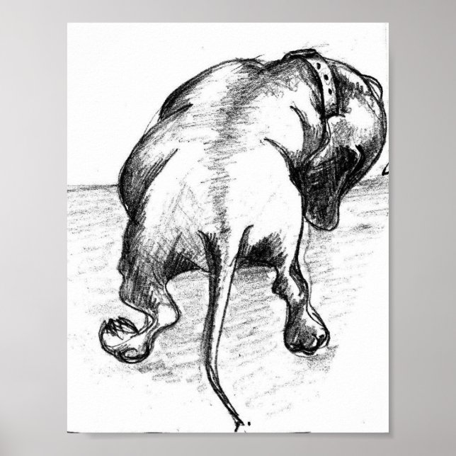 Dachshund sketch poster (Framsidan)