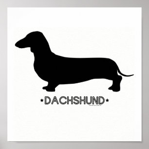 Dachshund Skriv ut Poster