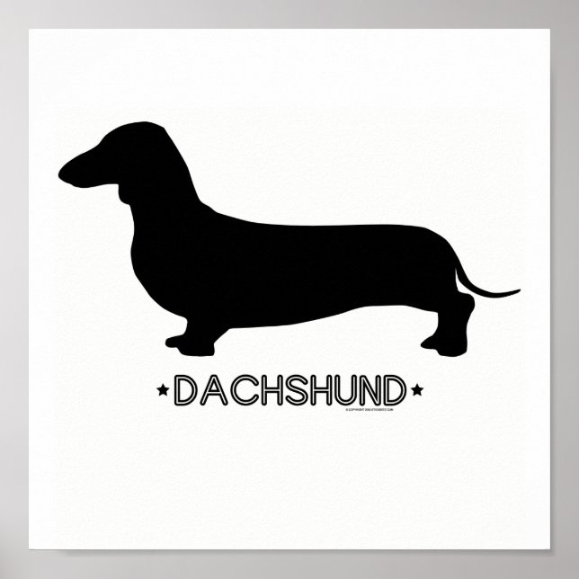 Dachshund Skriv ut Poster (Framsidan)