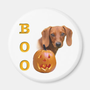 Dachshund (slät) Boo Magnet