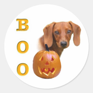 Dachshund (slät) Boo Runt Klistermärke