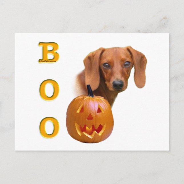 Dachshund (slät) Boo Vykort (Framsida)