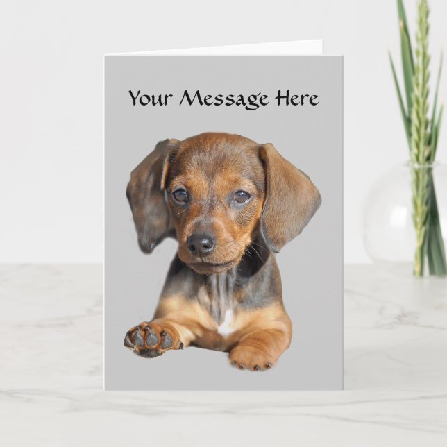 Dachshund So Cute Greeting Card Helgkort (Framsida)