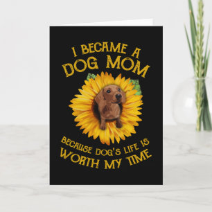 Dachshund Solros Jag Blev En Hundmamma Hundliv Kort