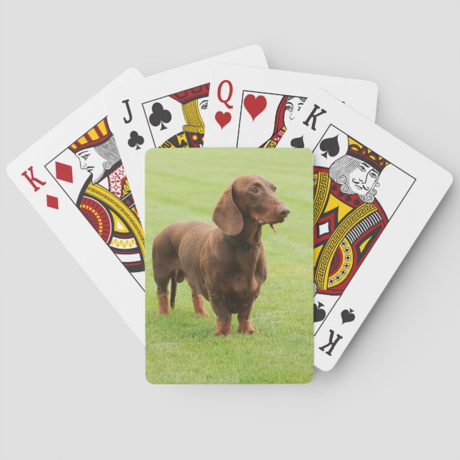 Dachshund Spel Kort (Baksidan)