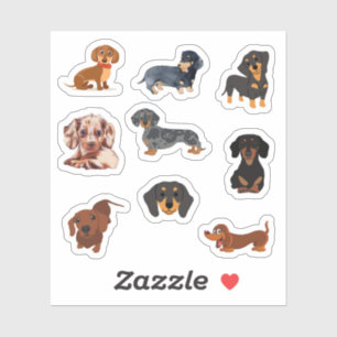 Dachshund Stickers Klistermärken