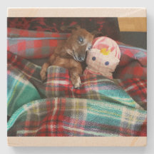 Dachshund Stone Underlägg