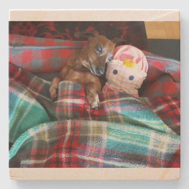 Dachshund Stone Underlägg (Framsidan)