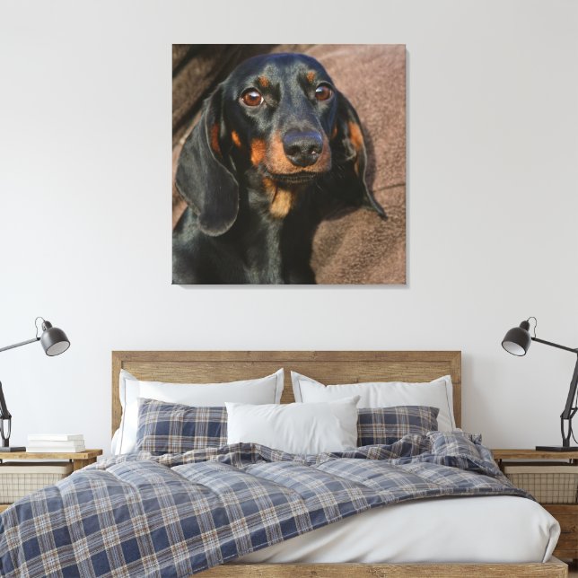 Dachshund svart och tan canvastryck (Insitu (sovrum))