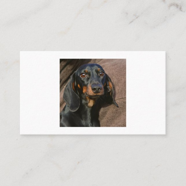 Dachshund svart och tan visitkort (Framsida)