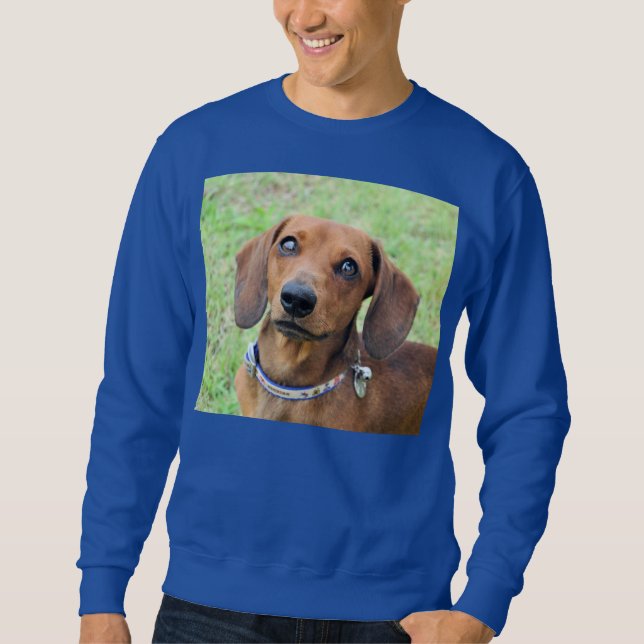 Dachshund T-Shirt Lång Ärmad Tröja (Framsida)