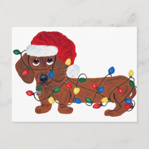 Dachshund Tangled In Christmas Lights (Red) Helg Vykort