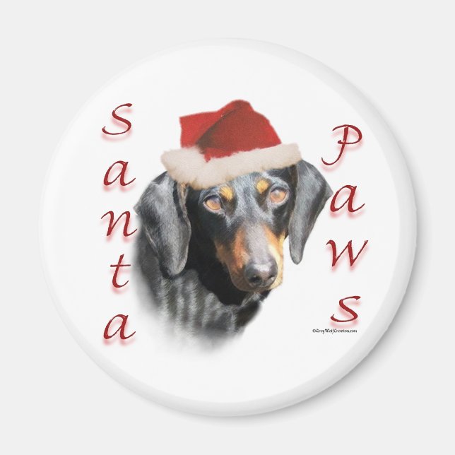 Dachshund Tassar (slät) Magnet (Framsidan)