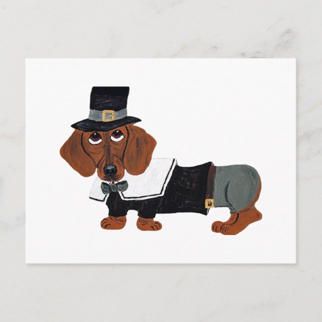 Dachshund Thanksgiving Pilgrim Vykort (Framsida)