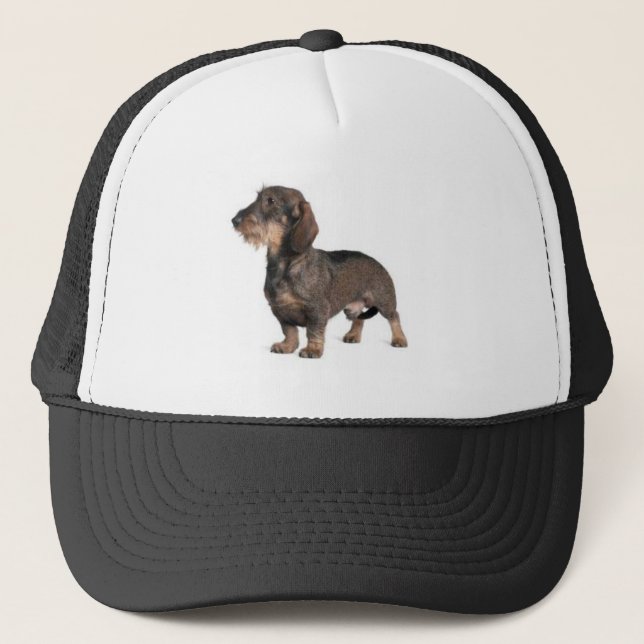 Dachshund Truckerkeps (Framsida)