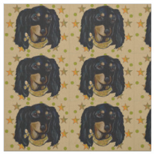 Dachshund Tyg