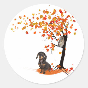 Dachshund Uggla och Fall Träd Dachshund Älskare hö Runt Klistermärke