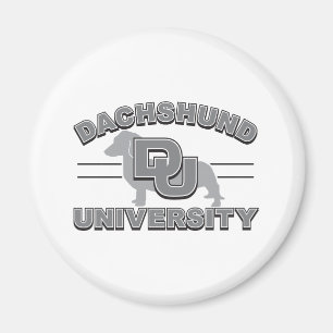 Dachshund Universiteten Magnet